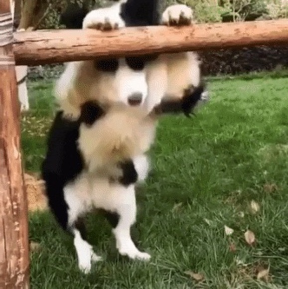 Meet your Posher, Claire - Picture 1 of 1